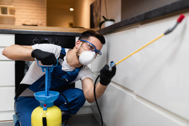 Best Insect Control  in Lincoln, ID