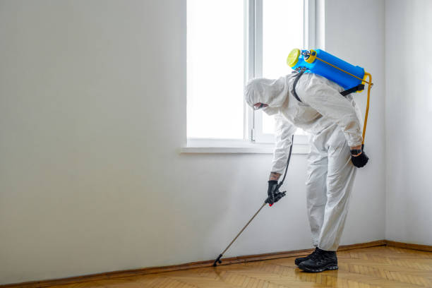 Professional Pest Control in Lincoln, ID