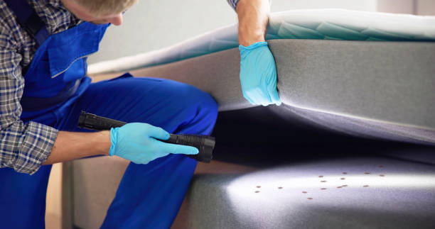 Best Pest Prevention Services  in Lincoln, ID